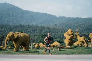 BIB: 
                            <button type="button" onclick="openModal(25871641)" class="btn btn-primary btn-sm float-right btn-popup" data-toggle="modal" data-target=".modal-high-quality">
                        <i class="fas fa-shopping-cart"></i> Add to Cart
                    </button>
                                            <button type="button" onclick="isThisMe(25871641, true)" class="btn btn-success btn-sm float-right btn-popup btn-isme hidden" data-toggle="tooltip" data-placement="bottom" title="นี่คือรูปของคุณใช่ไหม คลิกที่นี่เพื่อเอาเข้าอัลบั้ม">
                        <i class="fas fa-plus"></i> Add to album
                    </button>
                    <button type="button" onclick="isThisMe(25871641, false)" class="btn btn-warning btn-sm float-right btn-popup btn-isnotme hidden">
                        <i class="fas fa-ban"></i> Remove from album
                    </button>