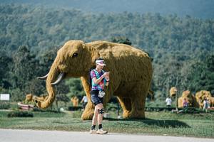 BIB: 
                            <button type="button" onclick="openModal(25921488)" class="btn btn-primary btn-sm float-right btn-popup" data-toggle="modal" data-target=".modal-high-quality">
                        <i class="fas fa-shopping-cart"></i> Add to Cart
                    </button>
                                            <button type="button" onclick="isThisMe(25921488, true)" class="btn btn-success btn-sm float-right btn-popup btn-isme hidden" data-toggle="tooltip" data-placement="bottom" title="นี่คือรูปของคุณใช่ไหม คลิกที่นี่เพื่อเอาเข้าอัลบั้ม">
                        <i class="fas fa-plus"></i> Add to album
                    </button>
                    <button type="button" onclick="isThisMe(25921488, false)" class="btn btn-warning btn-sm float-right btn-popup btn-isnotme hidden">
                        <i class="fas fa-ban"></i> Remove from album
                    </button>