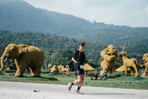 BIB: 
                            <button type="button" onclick="openModal(25895323)" class="btn btn-primary btn-sm float-right btn-popup" data-toggle="modal" data-target=".modal-high-quality">
                        <i class="fas fa-shopping-cart"></i> Add to Cart
                    </button>
                                            <button type="button" onclick="isThisMe(25895323, true)" class="btn btn-success btn-sm float-right btn-popup btn-isme hidden" data-toggle="tooltip" data-placement="bottom" title="นี่คือรูปของคุณใช่ไหม คลิกที่นี่เพื่อเอาเข้าอัลบั้ม">
                        <i class="fas fa-plus"></i> Add to album
                    </button>
                    <button type="button" onclick="isThisMe(25895323, false)" class="btn btn-warning btn-sm float-right btn-popup btn-isnotme hidden">
                        <i class="fas fa-ban"></i> Remove from album
                    </button>