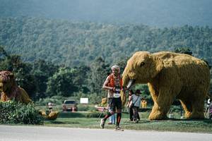 BIB: 
                            <button type="button" onclick="openModal(25914442)" class="btn btn-primary btn-sm float-right btn-popup" data-toggle="modal" data-target=".modal-high-quality">
                        <i class="fas fa-shopping-cart"></i> Add to Cart
                    </button>
                                            <button type="button" onclick="isThisMe(25914442, true)" class="btn btn-success btn-sm float-right btn-popup btn-isme hidden" data-toggle="tooltip" data-placement="bottom" title="นี่คือรูปของคุณใช่ไหม คลิกที่นี่เพื่อเอาเข้าอัลบั้ม">
                        <i class="fas fa-plus"></i> Add to album
                    </button>
                    <button type="button" onclick="isThisMe(25914442, false)" class="btn btn-warning btn-sm float-right btn-popup btn-isnotme hidden">
                        <i class="fas fa-ban"></i> Remove from album
                    </button>