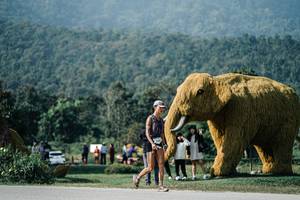 BIB: 
                            <button type="button" onclick="openModal(25876453)" class="btn btn-primary btn-sm float-right btn-popup" data-toggle="modal" data-target=".modal-high-quality">
                        <i class="fas fa-shopping-cart"></i> Add to Cart
                    </button>
                                            <button type="button" onclick="isThisMe(25876453, true)" class="btn btn-success btn-sm float-right btn-popup btn-isme hidden" data-toggle="tooltip" data-placement="bottom" title="นี่คือรูปของคุณใช่ไหม คลิกที่นี่เพื่อเอาเข้าอัลบั้ม">
                        <i class="fas fa-plus"></i> Add to album
                    </button>
                    <button type="button" onclick="isThisMe(25876453, false)" class="btn btn-warning btn-sm float-right btn-popup btn-isnotme hidden">
                        <i class="fas fa-ban"></i> Remove from album
                    </button>