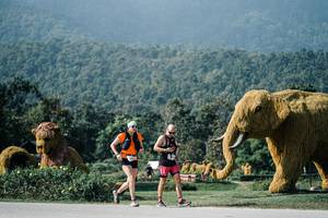 BIB: 
                            <button type="button" onclick="openModal(25888421)" class="btn btn-primary btn-sm float-right btn-popup" data-toggle="modal" data-target=".modal-high-quality">
                        <i class="fas fa-shopping-cart"></i> Add to Cart
                    </button>
                                            <button type="button" onclick="isThisMe(25888421, true)" class="btn btn-success btn-sm float-right btn-popup btn-isme hidden" data-toggle="tooltip" data-placement="bottom" title="นี่คือรูปของคุณใช่ไหม คลิกที่นี่เพื่อเอาเข้าอัลบั้ม">
                        <i class="fas fa-plus"></i> Add to album
                    </button>
                    <button type="button" onclick="isThisMe(25888421, false)" class="btn btn-warning btn-sm float-right btn-popup btn-isnotme hidden">
                        <i class="fas fa-ban"></i> Remove from album
                    </button>