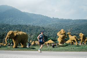 BIB: 
                            <button type="button" onclick="openModal(25878498)" class="btn btn-primary btn-sm float-right btn-popup" data-toggle="modal" data-target=".modal-high-quality">
                        <i class="fas fa-shopping-cart"></i> Add to Cart
                    </button>
                                            <button type="button" onclick="isThisMe(25878498, true)" class="btn btn-success btn-sm float-right btn-popup btn-isme hidden" data-toggle="tooltip" data-placement="bottom" title="นี่คือรูปของคุณใช่ไหม คลิกที่นี่เพื่อเอาเข้าอัลบั้ม">
                        <i class="fas fa-plus"></i> Add to album
                    </button>
                    <button type="button" onclick="isThisMe(25878498, false)" class="btn btn-warning btn-sm float-right btn-popup btn-isnotme hidden">
                        <i class="fas fa-ban"></i> Remove from album
                    </button>