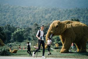 BIB: 
                            <button type="button" onclick="openModal(25959084)" class="btn btn-primary btn-sm float-right btn-popup" data-toggle="modal" data-target=".modal-high-quality">
                        <i class="fas fa-shopping-cart"></i> Add to Cart
                    </button>
                                            <button type="button" onclick="isThisMe(25959084, true)" class="btn btn-success btn-sm float-right btn-popup btn-isme hidden" data-toggle="tooltip" data-placement="bottom" title="นี่คือรูปของคุณใช่ไหม คลิกที่นี่เพื่อเอาเข้าอัลบั้ม">
                        <i class="fas fa-plus"></i> Add to album
                    </button>
                    <button type="button" onclick="isThisMe(25959084, false)" class="btn btn-warning btn-sm float-right btn-popup btn-isnotme hidden">
                        <i class="fas fa-ban"></i> Remove from album
                    </button>