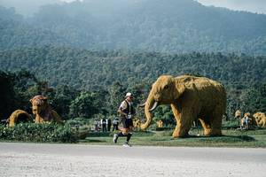 BIB: 
                            <button type="button" onclick="openModal(25875598)" class="btn btn-primary btn-sm float-right btn-popup" data-toggle="modal" data-target=".modal-high-quality">
                        <i class="fas fa-shopping-cart"></i> Add to Cart
                    </button>
                                            <button type="button" onclick="isThisMe(25875598, true)" class="btn btn-success btn-sm float-right btn-popup btn-isme hidden" data-toggle="tooltip" data-placement="bottom" title="นี่คือรูปของคุณใช่ไหม คลิกที่นี่เพื่อเอาเข้าอัลบั้ม">
                        <i class="fas fa-plus"></i> Add to album
                    </button>
                    <button type="button" onclick="isThisMe(25875598, false)" class="btn btn-warning btn-sm float-right btn-popup btn-isnotme hidden">
                        <i class="fas fa-ban"></i> Remove from album
                    </button>