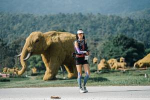 BIB: 
                            <button type="button" onclick="openModal(25900638)" class="btn btn-primary btn-sm float-right btn-popup" data-toggle="modal" data-target=".modal-high-quality">
                        <i class="fas fa-shopping-cart"></i> Add to Cart
                    </button>
                                            <button type="button" onclick="isThisMe(25900638, true)" class="btn btn-success btn-sm float-right btn-popup btn-isme hidden" data-toggle="tooltip" data-placement="bottom" title="นี่คือรูปของคุณใช่ไหม คลิกที่นี่เพื่อเอาเข้าอัลบั้ม">
                        <i class="fas fa-plus"></i> Add to album
                    </button>
                    <button type="button" onclick="isThisMe(25900638, false)" class="btn btn-warning btn-sm float-right btn-popup btn-isnotme hidden">
                        <i class="fas fa-ban"></i> Remove from album
                    </button>