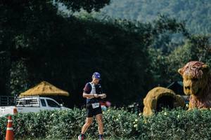 BIB: 
                            <button type="button" onclick="openModal(25891130)" class="btn btn-primary btn-sm float-right btn-popup" data-toggle="modal" data-target=".modal-high-quality">
                        <i class="fas fa-shopping-cart"></i> Add to Cart
                    </button>
                                            <button type="button" onclick="isThisMe(25891130, true)" class="btn btn-success btn-sm float-right btn-popup btn-isme hidden" data-toggle="tooltip" data-placement="bottom" title="นี่คือรูปของคุณใช่ไหม คลิกที่นี่เพื่อเอาเข้าอัลบั้ม">
                        <i class="fas fa-plus"></i> Add to album
                    </button>
                    <button type="button" onclick="isThisMe(25891130, false)" class="btn btn-warning btn-sm float-right btn-popup btn-isnotme hidden">
                        <i class="fas fa-ban"></i> Remove from album
                    </button>