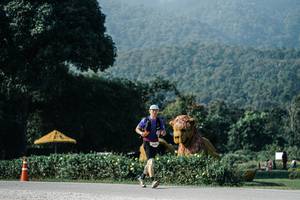 BIB: 
                            <button type="button" onclick="openModal(25873218)" class="btn btn-primary btn-sm float-right btn-popup" data-toggle="modal" data-target=".modal-high-quality">
                        <i class="fas fa-shopping-cart"></i> Add to Cart
                    </button>
                                            <button type="button" onclick="isThisMe(25873218, true)" class="btn btn-success btn-sm float-right btn-popup btn-isme hidden" data-toggle="tooltip" data-placement="bottom" title="นี่คือรูปของคุณใช่ไหม คลิกที่นี่เพื่อเอาเข้าอัลบั้ม">
                        <i class="fas fa-plus"></i> Add to album
                    </button>
                    <button type="button" onclick="isThisMe(25873218, false)" class="btn btn-warning btn-sm float-right btn-popup btn-isnotme hidden">
                        <i class="fas fa-ban"></i> Remove from album
                    </button>