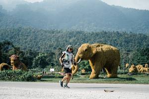 BIB: 
                            <button type="button" onclick="openModal(25892976)" class="btn btn-primary btn-sm float-right btn-popup" data-toggle="modal" data-target=".modal-high-quality">
                        <i class="fas fa-shopping-cart"></i> Add to Cart
                    </button>
                                            <button type="button" onclick="isThisMe(25892976, true)" class="btn btn-success btn-sm float-right btn-popup btn-isme hidden" data-toggle="tooltip" data-placement="bottom" title="นี่คือรูปของคุณใช่ไหม คลิกที่นี่เพื่อเอาเข้าอัลบั้ม">
                        <i class="fas fa-plus"></i> Add to album
                    </button>
                    <button type="button" onclick="isThisMe(25892976, false)" class="btn btn-warning btn-sm float-right btn-popup btn-isnotme hidden">
                        <i class="fas fa-ban"></i> Remove from album
                    </button>