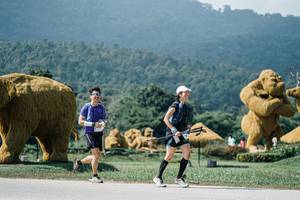 BIB: 
                            <button type="button" onclick="openModal(25942642)" class="btn btn-primary btn-sm float-right btn-popup" data-toggle="modal" data-target=".modal-high-quality">
                        <i class="fas fa-shopping-cart"></i> Add to Cart
                    </button>
                                            <button type="button" onclick="isThisMe(25942642, true)" class="btn btn-success btn-sm float-right btn-popup btn-isme hidden" data-toggle="tooltip" data-placement="bottom" title="นี่คือรูปของคุณใช่ไหม คลิกที่นี่เพื่อเอาเข้าอัลบั้ม">
                        <i class="fas fa-plus"></i> Add to album
                    </button>
                    <button type="button" onclick="isThisMe(25942642, false)" class="btn btn-warning btn-sm float-right btn-popup btn-isnotme hidden">
                        <i class="fas fa-ban"></i> Remove from album
                    </button>