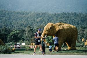 BIB: 
                            <button type="button" onclick="openModal(25891189)" class="btn btn-primary btn-sm float-right btn-popup" data-toggle="modal" data-target=".modal-high-quality">
                        <i class="fas fa-shopping-cart"></i> Add to Cart
                    </button>
                                            <button type="button" onclick="isThisMe(25891189, true)" class="btn btn-success btn-sm float-right btn-popup btn-isme hidden" data-toggle="tooltip" data-placement="bottom" title="นี่คือรูปของคุณใช่ไหม คลิกที่นี่เพื่อเอาเข้าอัลบั้ม">
                        <i class="fas fa-plus"></i> Add to album
                    </button>
                    <button type="button" onclick="isThisMe(25891189, false)" class="btn btn-warning btn-sm float-right btn-popup btn-isnotme hidden">
                        <i class="fas fa-ban"></i> Remove from album
                    </button>