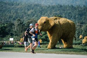 BIB: 
                            <button type="button" onclick="openModal(25873411)" class="btn btn-primary btn-sm float-right btn-popup" data-toggle="modal" data-target=".modal-high-quality">
                        <i class="fas fa-shopping-cart"></i> Add to Cart
                    </button>
                                            <button type="button" onclick="isThisMe(25873411, true)" class="btn btn-success btn-sm float-right btn-popup btn-isme hidden" data-toggle="tooltip" data-placement="bottom" title="นี่คือรูปของคุณใช่ไหม คลิกที่นี่เพื่อเอาเข้าอัลบั้ม">
                        <i class="fas fa-plus"></i> Add to album
                    </button>
                    <button type="button" onclick="isThisMe(25873411, false)" class="btn btn-warning btn-sm float-right btn-popup btn-isnotme hidden">
                        <i class="fas fa-ban"></i> Remove from album
                    </button>