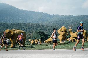 BIB: 
                            <button type="button" onclick="openModal(25882334)" class="btn btn-primary btn-sm float-right btn-popup" data-toggle="modal" data-target=".modal-high-quality">
                        <i class="fas fa-shopping-cart"></i> Add to Cart
                    </button>
                                            <button type="button" onclick="isThisMe(25882334, true)" class="btn btn-success btn-sm float-right btn-popup btn-isme hidden" data-toggle="tooltip" data-placement="bottom" title="นี่คือรูปของคุณใช่ไหม คลิกที่นี่เพื่อเอาเข้าอัลบั้ม">
                        <i class="fas fa-plus"></i> Add to album
                    </button>
                    <button type="button" onclick="isThisMe(25882334, false)" class="btn btn-warning btn-sm float-right btn-popup btn-isnotme hidden">
                        <i class="fas fa-ban"></i> Remove from album
                    </button>