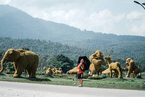 BIB: 
                            <button type="button" onclick="openModal(25980452)" class="btn btn-primary btn-sm float-right btn-popup" data-toggle="modal" data-target=".modal-high-quality">
                        <i class="fas fa-shopping-cart"></i> Add to Cart
                    </button>
                                            <button type="button" onclick="isThisMe(25980452, true)" class="btn btn-success btn-sm float-right btn-popup btn-isme hidden" data-toggle="tooltip" data-placement="bottom" title="นี่คือรูปของคุณใช่ไหม คลิกที่นี่เพื่อเอาเข้าอัลบั้ม">
                        <i class="fas fa-plus"></i> Add to album
                    </button>
                    <button type="button" onclick="isThisMe(25980452, false)" class="btn btn-warning btn-sm float-right btn-popup btn-isnotme hidden">
                        <i class="fas fa-ban"></i> Remove from album
                    </button>