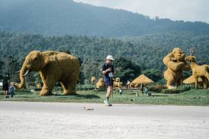 BIB: 
                            <button type="button" onclick="openModal(25910515)" class="btn btn-primary btn-sm float-right btn-popup" data-toggle="modal" data-target=".modal-high-quality">
                        <i class="fas fa-shopping-cart"></i> Add to Cart
                    </button>
                                            <button type="button" onclick="isThisMe(25910515, true)" class="btn btn-success btn-sm float-right btn-popup btn-isme hidden" data-toggle="tooltip" data-placement="bottom" title="นี่คือรูปของคุณใช่ไหม คลิกที่นี่เพื่อเอาเข้าอัลบั้ม">
                        <i class="fas fa-plus"></i> Add to album
                    </button>
                    <button type="button" onclick="isThisMe(25910515, false)" class="btn btn-warning btn-sm float-right btn-popup btn-isnotme hidden">
                        <i class="fas fa-ban"></i> Remove from album
                    </button>