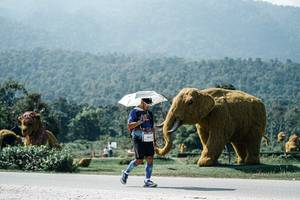 BIB: 
                            <button type="button" onclick="openModal(25983334)" class="btn btn-primary btn-sm float-right btn-popup" data-toggle="modal" data-target=".modal-high-quality">
                        <i class="fas fa-shopping-cart"></i> Add to Cart
                    </button>
                                            <button type="button" onclick="isThisMe(25983334, true)" class="btn btn-success btn-sm float-right btn-popup btn-isme hidden" data-toggle="tooltip" data-placement="bottom" title="นี่คือรูปของคุณใช่ไหม คลิกที่นี่เพื่อเอาเข้าอัลบั้ม">
                        <i class="fas fa-plus"></i> Add to album
                    </button>
                    <button type="button" onclick="isThisMe(25983334, false)" class="btn btn-warning btn-sm float-right btn-popup btn-isnotme hidden">
                        <i class="fas fa-ban"></i> Remove from album
                    </button>