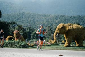 BIB: 
                            <button type="button" onclick="openModal(25904295)" class="btn btn-primary btn-sm float-right btn-popup" data-toggle="modal" data-target=".modal-high-quality">
                        <i class="fas fa-shopping-cart"></i> Add to Cart
                    </button>
                                            <button type="button" onclick="isThisMe(25904295, true)" class="btn btn-success btn-sm float-right btn-popup btn-isme hidden" data-toggle="tooltip" data-placement="bottom" title="นี่คือรูปของคุณใช่ไหม คลิกที่นี่เพื่อเอาเข้าอัลบั้ม">
                        <i class="fas fa-plus"></i> Add to album
                    </button>
                    <button type="button" onclick="isThisMe(25904295, false)" class="btn btn-warning btn-sm float-right btn-popup btn-isnotme hidden">
                        <i class="fas fa-ban"></i> Remove from album
                    </button>