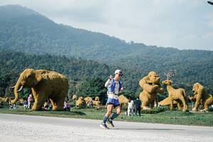 BIB: 
                            <button type="button" onclick="openModal(25874687)" class="btn btn-primary btn-sm float-right btn-popup" data-toggle="modal" data-target=".modal-high-quality">
                        <i class="fas fa-shopping-cart"></i> Add to Cart
                    </button>
                                            <button type="button" onclick="isThisMe(25874687, true)" class="btn btn-success btn-sm float-right btn-popup btn-isme hidden" data-toggle="tooltip" data-placement="bottom" title="นี่คือรูปของคุณใช่ไหม คลิกที่นี่เพื่อเอาเข้าอัลบั้ม">
                        <i class="fas fa-plus"></i> Add to album
                    </button>
                    <button type="button" onclick="isThisMe(25874687, false)" class="btn btn-warning btn-sm float-right btn-popup btn-isnotme hidden">
                        <i class="fas fa-ban"></i> Remove from album
                    </button>