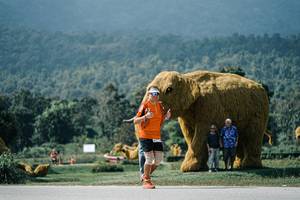 BIB: 
                            <button type="button" onclick="openModal(25940263)" class="btn btn-primary btn-sm float-right btn-popup" data-toggle="modal" data-target=".modal-high-quality">
                        <i class="fas fa-shopping-cart"></i> Add to Cart
                    </button>
                                            <button type="button" onclick="isThisMe(25940263, true)" class="btn btn-success btn-sm float-right btn-popup btn-isme hidden" data-toggle="tooltip" data-placement="bottom" title="นี่คือรูปของคุณใช่ไหม คลิกที่นี่เพื่อเอาเข้าอัลบั้ม">
                        <i class="fas fa-plus"></i> Add to album
                    </button>
                    <button type="button" onclick="isThisMe(25940263, false)" class="btn btn-warning btn-sm float-right btn-popup btn-isnotme hidden">
                        <i class="fas fa-ban"></i> Remove from album
                    </button>