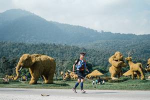 BIB: 
                            <button type="button" onclick="openModal(25893848)" class="btn btn-primary btn-sm float-right btn-popup" data-toggle="modal" data-target=".modal-high-quality">
                        <i class="fas fa-shopping-cart"></i> Add to Cart
                    </button>
                                            <button type="button" onclick="isThisMe(25893848, true)" class="btn btn-success btn-sm float-right btn-popup btn-isme hidden" data-toggle="tooltip" data-placement="bottom" title="นี่คือรูปของคุณใช่ไหม คลิกที่นี่เพื่อเอาเข้าอัลบั้ม">
                        <i class="fas fa-plus"></i> Add to album
                    </button>
                    <button type="button" onclick="isThisMe(25893848, false)" class="btn btn-warning btn-sm float-right btn-popup btn-isnotme hidden">
                        <i class="fas fa-ban"></i> Remove from album
                    </button>