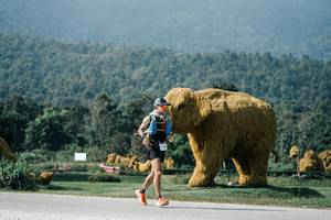 BIB: 
                            <button type="button" onclick="openModal(25897016)" class="btn btn-primary btn-sm float-right btn-popup" data-toggle="modal" data-target=".modal-high-quality">
                        <i class="fas fa-shopping-cart"></i> Add to Cart
                    </button>
                                            <button type="button" onclick="isThisMe(25897016, true)" class="btn btn-success btn-sm float-right btn-popup btn-isme hidden" data-toggle="tooltip" data-placement="bottom" title="นี่คือรูปของคุณใช่ไหม คลิกที่นี่เพื่อเอาเข้าอัลบั้ม">
                        <i class="fas fa-plus"></i> Add to album
                    </button>
                    <button type="button" onclick="isThisMe(25897016, false)" class="btn btn-warning btn-sm float-right btn-popup btn-isnotme hidden">
                        <i class="fas fa-ban"></i> Remove from album
                    </button>