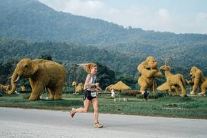 BIB: 
                            <button type="button" onclick="openModal(25870193)" class="btn btn-primary btn-sm float-right btn-popup" data-toggle="modal" data-target=".modal-high-quality">
                        <i class="fas fa-shopping-cart"></i> Add to Cart
                    </button>
                                            <button type="button" onclick="isThisMe(25870193, true)" class="btn btn-success btn-sm float-right btn-popup btn-isme hidden" data-toggle="tooltip" data-placement="bottom" title="นี่คือรูปของคุณใช่ไหม คลิกที่นี่เพื่อเอาเข้าอัลบั้ม">
                        <i class="fas fa-plus"></i> Add to album
                    </button>
                    <button type="button" onclick="isThisMe(25870193, false)" class="btn btn-warning btn-sm float-right btn-popup btn-isnotme hidden">
                        <i class="fas fa-ban"></i> Remove from album
                    </button>