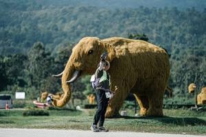 BIB: 
                            <button type="button" onclick="openModal(25930030)" class="btn btn-primary btn-sm float-right btn-popup" data-toggle="modal" data-target=".modal-high-quality">
                        <i class="fas fa-shopping-cart"></i> Add to Cart
                    </button>
                                            <button type="button" onclick="isThisMe(25930030, true)" class="btn btn-success btn-sm float-right btn-popup btn-isme hidden" data-toggle="tooltip" data-placement="bottom" title="นี่คือรูปของคุณใช่ไหม คลิกที่นี่เพื่อเอาเข้าอัลบั้ม">
                        <i class="fas fa-plus"></i> Add to album
                    </button>
                    <button type="button" onclick="isThisMe(25930030, false)" class="btn btn-warning btn-sm float-right btn-popup btn-isnotme hidden">
                        <i class="fas fa-ban"></i> Remove from album
                    </button>