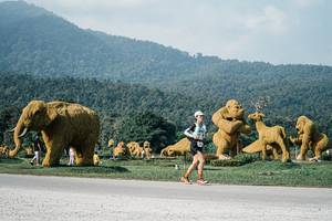 BIB: 
                            <button type="button" onclick="openModal(25873624)" class="btn btn-primary btn-sm float-right btn-popup" data-toggle="modal" data-target=".modal-high-quality">
                        <i class="fas fa-shopping-cart"></i> Add to Cart
                    </button>
                                            <button type="button" onclick="isThisMe(25873624, true)" class="btn btn-success btn-sm float-right btn-popup btn-isme hidden" data-toggle="tooltip" data-placement="bottom" title="นี่คือรูปของคุณใช่ไหม คลิกที่นี่เพื่อเอาเข้าอัลบั้ม">
                        <i class="fas fa-plus"></i> Add to album
                    </button>
                    <button type="button" onclick="isThisMe(25873624, false)" class="btn btn-warning btn-sm float-right btn-popup btn-isnotme hidden">
                        <i class="fas fa-ban"></i> Remove from album
                    </button>