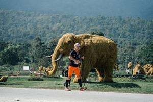 BIB: 
                            <button type="button" onclick="openModal(25952752)" class="btn btn-primary btn-sm float-right btn-popup" data-toggle="modal" data-target=".modal-high-quality">
                        <i class="fas fa-shopping-cart"></i> Add to Cart
                    </button>
                                            <button type="button" onclick="isThisMe(25952752, true)" class="btn btn-success btn-sm float-right btn-popup btn-isme hidden" data-toggle="tooltip" data-placement="bottom" title="นี่คือรูปของคุณใช่ไหม คลิกที่นี่เพื่อเอาเข้าอัลบั้ม">
                        <i class="fas fa-plus"></i> Add to album
                    </button>
                    <button type="button" onclick="isThisMe(25952752, false)" class="btn btn-warning btn-sm float-right btn-popup btn-isnotme hidden">
                        <i class="fas fa-ban"></i> Remove from album
                    </button>