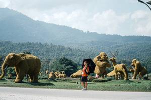 BIB: 
                            <button type="button" onclick="openModal(25980815)" class="btn btn-primary btn-sm float-right btn-popup" data-toggle="modal" data-target=".modal-high-quality">
                        <i class="fas fa-shopping-cart"></i> Add to Cart
                    </button>
                                            <button type="button" onclick="isThisMe(25980815, true)" class="btn btn-success btn-sm float-right btn-popup btn-isme hidden" data-toggle="tooltip" data-placement="bottom" title="นี่คือรูปของคุณใช่ไหม คลิกที่นี่เพื่อเอาเข้าอัลบั้ม">
                        <i class="fas fa-plus"></i> Add to album
                    </button>
                    <button type="button" onclick="isThisMe(25980815, false)" class="btn btn-warning btn-sm float-right btn-popup btn-isnotme hidden">
                        <i class="fas fa-ban"></i> Remove from album
                    </button>