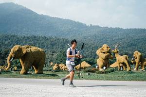 BIB: 
                            <button type="button" onclick="openModal(25886438)" class="btn btn-primary btn-sm float-right btn-popup" data-toggle="modal" data-target=".modal-high-quality">
                        <i class="fas fa-shopping-cart"></i> Add to Cart
                    </button>
                                            <button type="button" onclick="isThisMe(25886438, true)" class="btn btn-success btn-sm float-right btn-popup btn-isme hidden" data-toggle="tooltip" data-placement="bottom" title="นี่คือรูปของคุณใช่ไหม คลิกที่นี่เพื่อเอาเข้าอัลบั้ม">
                        <i class="fas fa-plus"></i> Add to album
                    </button>
                    <button type="button" onclick="isThisMe(25886438, false)" class="btn btn-warning btn-sm float-right btn-popup btn-isnotme hidden">
                        <i class="fas fa-ban"></i> Remove from album
                    </button>