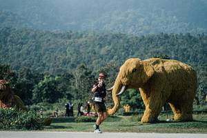 BIB: 
                            <button type="button" onclick="openModal(25878306)" class="btn btn-primary btn-sm float-right btn-popup" data-toggle="modal" data-target=".modal-high-quality">
                        <i class="fas fa-shopping-cart"></i> Add to Cart
                    </button>
                                            <button type="button" onclick="isThisMe(25878306, true)" class="btn btn-success btn-sm float-right btn-popup btn-isme hidden" data-toggle="tooltip" data-placement="bottom" title="นี่คือรูปของคุณใช่ไหม คลิกที่นี่เพื่อเอาเข้าอัลบั้ม">
                        <i class="fas fa-plus"></i> Add to album
                    </button>
                    <button type="button" onclick="isThisMe(25878306, false)" class="btn btn-warning btn-sm float-right btn-popup btn-isnotme hidden">
                        <i class="fas fa-ban"></i> Remove from album
                    </button>