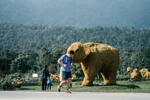 BIB: 
                            <button type="button" onclick="openModal(25889476)" class="btn btn-primary btn-sm float-right btn-popup" data-toggle="modal" data-target=".modal-high-quality">
                        <i class="fas fa-shopping-cart"></i> Add to Cart
                    </button>
                                            <button type="button" onclick="isThisMe(25889476, true)" class="btn btn-success btn-sm float-right btn-popup btn-isme hidden" data-toggle="tooltip" data-placement="bottom" title="นี่คือรูปของคุณใช่ไหม คลิกที่นี่เพื่อเอาเข้าอัลบั้ม">
                        <i class="fas fa-plus"></i> Add to album
                    </button>
                    <button type="button" onclick="isThisMe(25889476, false)" class="btn btn-warning btn-sm float-right btn-popup btn-isnotme hidden">
                        <i class="fas fa-ban"></i> Remove from album
                    </button>