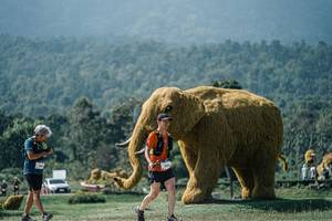 BIB: 
                            <button type="button" onclick="openModal(25967342)" class="btn btn-primary btn-sm float-right btn-popup" data-toggle="modal" data-target=".modal-high-quality">
                        <i class="fas fa-shopping-cart"></i> Add to Cart
                    </button>
                                            <button type="button" onclick="isThisMe(25967342, true)" class="btn btn-success btn-sm float-right btn-popup btn-isme hidden" data-toggle="tooltip" data-placement="bottom" title="นี่คือรูปของคุณใช่ไหม คลิกที่นี่เพื่อเอาเข้าอัลบั้ม">
                        <i class="fas fa-plus"></i> Add to album
                    </button>
                    <button type="button" onclick="isThisMe(25967342, false)" class="btn btn-warning btn-sm float-right btn-popup btn-isnotme hidden">
                        <i class="fas fa-ban"></i> Remove from album
                    </button>