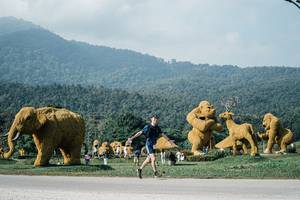 BIB: 
                            <button type="button" onclick="openModal(25875416)" class="btn btn-primary btn-sm float-right btn-popup" data-toggle="modal" data-target=".modal-high-quality">
                        <i class="fas fa-shopping-cart"></i> Add to Cart
                    </button>
                                            <button type="button" onclick="isThisMe(25875416, true)" class="btn btn-success btn-sm float-right btn-popup btn-isme hidden" data-toggle="tooltip" data-placement="bottom" title="นี่คือรูปของคุณใช่ไหม คลิกที่นี่เพื่อเอาเข้าอัลบั้ม">
                        <i class="fas fa-plus"></i> Add to album
                    </button>
                    <button type="button" onclick="isThisMe(25875416, false)" class="btn btn-warning btn-sm float-right btn-popup btn-isnotme hidden">
                        <i class="fas fa-ban"></i> Remove from album
                    </button>