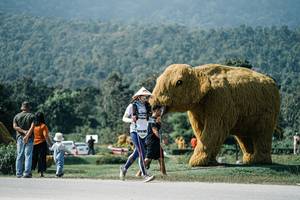 BIB: 
                            <button type="button" onclick="openModal(25917064)" class="btn btn-primary btn-sm float-right btn-popup" data-toggle="modal" data-target=".modal-high-quality">
                        <i class="fas fa-shopping-cart"></i> Add to Cart
                    </button>
                                            <button type="button" onclick="isThisMe(25917064, true)" class="btn btn-success btn-sm float-right btn-popup btn-isme hidden" data-toggle="tooltip" data-placement="bottom" title="นี่คือรูปของคุณใช่ไหม คลิกที่นี่เพื่อเอาเข้าอัลบั้ม">
                        <i class="fas fa-plus"></i> Add to album
                    </button>
                    <button type="button" onclick="isThisMe(25917064, false)" class="btn btn-warning btn-sm float-right btn-popup btn-isnotme hidden">
                        <i class="fas fa-ban"></i> Remove from album
                    </button>