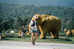 BIB: 
                            <button type="button" onclick="openModal(25889081)" class="btn btn-primary btn-sm float-right btn-popup" data-toggle="modal" data-target=".modal-high-quality">
                        <i class="fas fa-shopping-cart"></i> Add to Cart
                    </button>
                                            <button type="button" onclick="isThisMe(25889081, true)" class="btn btn-success btn-sm float-right btn-popup btn-isme hidden" data-toggle="tooltip" data-placement="bottom" title="นี่คือรูปของคุณใช่ไหม คลิกที่นี่เพื่อเอาเข้าอัลบั้ม">
                        <i class="fas fa-plus"></i> Add to album
                    </button>
                    <button type="button" onclick="isThisMe(25889081, false)" class="btn btn-warning btn-sm float-right btn-popup btn-isnotme hidden">
                        <i class="fas fa-ban"></i> Remove from album
                    </button>