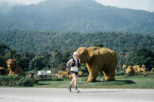 BIB: 
                            <button type="button" onclick="openModal(25885282)" class="btn btn-primary btn-sm float-right btn-popup" data-toggle="modal" data-target=".modal-high-quality">
                        <i class="fas fa-shopping-cart"></i> Add to Cart
                    </button>
                                            <button type="button" onclick="isThisMe(25885282, true)" class="btn btn-success btn-sm float-right btn-popup btn-isme hidden" data-toggle="tooltip" data-placement="bottom" title="นี่คือรูปของคุณใช่ไหม คลิกที่นี่เพื่อเอาเข้าอัลบั้ม">
                        <i class="fas fa-plus"></i> Add to album
                    </button>
                    <button type="button" onclick="isThisMe(25885282, false)" class="btn btn-warning btn-sm float-right btn-popup btn-isnotme hidden">
                        <i class="fas fa-ban"></i> Remove from album
                    </button>