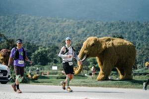 BIB: , 
                            <button type="button" onclick="openModal(25926497)" class="btn btn-primary btn-sm float-right btn-popup" data-toggle="modal" data-target=".modal-high-quality">
                        <i class="fas fa-shopping-cart"></i> Add to Cart
                    </button>
                                            <button type="button" onclick="isThisMe(25926497, true)" class="btn btn-success btn-sm float-right btn-popup btn-isme hidden" data-toggle="tooltip" data-placement="bottom" title="นี่คือรูปของคุณใช่ไหม คลิกที่นี่เพื่อเอาเข้าอัลบั้ม">
                        <i class="fas fa-plus"></i> Add to album
                    </button>
                    <button type="button" onclick="isThisMe(25926497, false)" class="btn btn-warning btn-sm float-right btn-popup btn-isnotme hidden">
                        <i class="fas fa-ban"></i> Remove from album
                    </button>