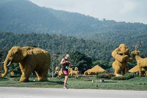 BIB: 
                            <button type="button" onclick="openModal(25888611)" class="btn btn-primary btn-sm float-right btn-popup" data-toggle="modal" data-target=".modal-high-quality">
                        <i class="fas fa-shopping-cart"></i> Add to Cart
                    </button>
                                            <button type="button" onclick="isThisMe(25888611, true)" class="btn btn-success btn-sm float-right btn-popup btn-isme hidden" data-toggle="tooltip" data-placement="bottom" title="นี่คือรูปของคุณใช่ไหม คลิกที่นี่เพื่อเอาเข้าอัลบั้ม">
                        <i class="fas fa-plus"></i> Add to album
                    </button>
                    <button type="button" onclick="isThisMe(25888611, false)" class="btn btn-warning btn-sm float-right btn-popup btn-isnotme hidden">
                        <i class="fas fa-ban"></i> Remove from album
                    </button>