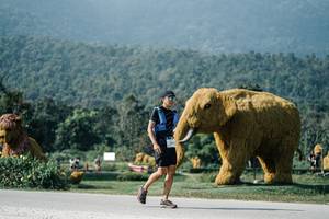 BIB: 
                            <button type="button" onclick="openModal(25896058)" class="btn btn-primary btn-sm float-right btn-popup" data-toggle="modal" data-target=".modal-high-quality">
                        <i class="fas fa-shopping-cart"></i> Add to Cart
                    </button>
                                            <button type="button" onclick="isThisMe(25896058, true)" class="btn btn-success btn-sm float-right btn-popup btn-isme hidden" data-toggle="tooltip" data-placement="bottom" title="นี่คือรูปของคุณใช่ไหม คลิกที่นี่เพื่อเอาเข้าอัลบั้ม">
                        <i class="fas fa-plus"></i> Add to album
                    </button>
                    <button type="button" onclick="isThisMe(25896058, false)" class="btn btn-warning btn-sm float-right btn-popup btn-isnotme hidden">
                        <i class="fas fa-ban"></i> Remove from album
                    </button>