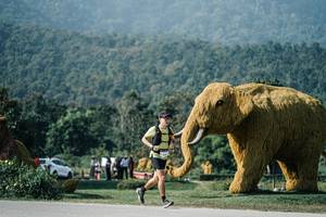 BIB: 
                            <button type="button" onclick="openModal(25875703)" class="btn btn-primary btn-sm float-right btn-popup" data-toggle="modal" data-target=".modal-high-quality">
                        <i class="fas fa-shopping-cart"></i> Add to Cart
                    </button>
                                            <button type="button" onclick="isThisMe(25875703, true)" class="btn btn-success btn-sm float-right btn-popup btn-isme hidden" data-toggle="tooltip" data-placement="bottom" title="นี่คือรูปของคุณใช่ไหม คลิกที่นี่เพื่อเอาเข้าอัลบั้ม">
                        <i class="fas fa-plus"></i> Add to album
                    </button>
                    <button type="button" onclick="isThisMe(25875703, false)" class="btn btn-warning btn-sm float-right btn-popup btn-isnotme hidden">
                        <i class="fas fa-ban"></i> Remove from album
                    </button>