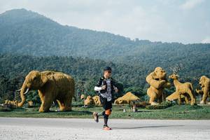 BIB: 
                            <button type="button" onclick="openModal(25872102)" class="btn btn-primary btn-sm float-right btn-popup" data-toggle="modal" data-target=".modal-high-quality">
                        <i class="fas fa-shopping-cart"></i> Add to Cart
                    </button>
                                            <button type="button" onclick="isThisMe(25872102, true)" class="btn btn-success btn-sm float-right btn-popup btn-isme hidden" data-toggle="tooltip" data-placement="bottom" title="นี่คือรูปของคุณใช่ไหม คลิกที่นี่เพื่อเอาเข้าอัลบั้ม">
                        <i class="fas fa-plus"></i> Add to album
                    </button>
                    <button type="button" onclick="isThisMe(25872102, false)" class="btn btn-warning btn-sm float-right btn-popup btn-isnotme hidden">
                        <i class="fas fa-ban"></i> Remove from album
                    </button>