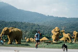 BIB: 
                            <button type="button" onclick="openModal(25890960)" class="btn btn-primary btn-sm float-right btn-popup" data-toggle="modal" data-target=".modal-high-quality">
                        <i class="fas fa-shopping-cart"></i> Add to Cart
                    </button>
                                            <button type="button" onclick="isThisMe(25890960, true)" class="btn btn-success btn-sm float-right btn-popup btn-isme hidden" data-toggle="tooltip" data-placement="bottom" title="นี่คือรูปของคุณใช่ไหม คลิกที่นี่เพื่อเอาเข้าอัลบั้ม">
                        <i class="fas fa-plus"></i> Add to album
                    </button>
                    <button type="button" onclick="isThisMe(25890960, false)" class="btn btn-warning btn-sm float-right btn-popup btn-isnotme hidden">
                        <i class="fas fa-ban"></i> Remove from album
                    </button>