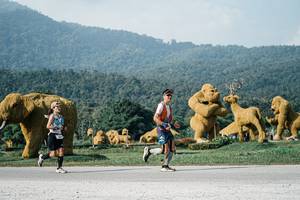 BIB: 
                            <button type="button" onclick="openModal(25872264)" class="btn btn-primary btn-sm float-right btn-popup" data-toggle="modal" data-target=".modal-high-quality">
                        <i class="fas fa-shopping-cart"></i> Add to Cart
                    </button>
                                            <button type="button" onclick="isThisMe(25872264, true)" class="btn btn-success btn-sm float-right btn-popup btn-isme hidden" data-toggle="tooltip" data-placement="bottom" title="นี่คือรูปของคุณใช่ไหม คลิกที่นี่เพื่อเอาเข้าอัลบั้ม">
                        <i class="fas fa-plus"></i> Add to album
                    </button>
                    <button type="button" onclick="isThisMe(25872264, false)" class="btn btn-warning btn-sm float-right btn-popup btn-isnotme hidden">
                        <i class="fas fa-ban"></i> Remove from album
                    </button>