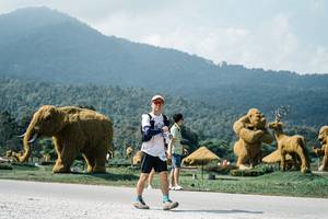 BIB: 
                            <button type="button" onclick="openModal(25955548)" class="btn btn-primary btn-sm float-right btn-popup" data-toggle="modal" data-target=".modal-high-quality">
                        <i class="fas fa-shopping-cart"></i> Add to Cart
                    </button>
                                            <button type="button" onclick="isThisMe(25955548, true)" class="btn btn-success btn-sm float-right btn-popup btn-isme hidden" data-toggle="tooltip" data-placement="bottom" title="นี่คือรูปของคุณใช่ไหม คลิกที่นี่เพื่อเอาเข้าอัลบั้ม">
                        <i class="fas fa-plus"></i> Add to album
                    </button>
                    <button type="button" onclick="isThisMe(25955548, false)" class="btn btn-warning btn-sm float-right btn-popup btn-isnotme hidden">
                        <i class="fas fa-ban"></i> Remove from album
                    </button>