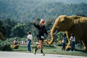 BIB: 
                            <button type="button" onclick="openModal(25971100)" class="btn btn-primary btn-sm float-right btn-popup" data-toggle="modal" data-target=".modal-high-quality">
                        <i class="fas fa-shopping-cart"></i> Add to Cart
                    </button>
                                            <button type="button" onclick="isThisMe(25971100, true)" class="btn btn-success btn-sm float-right btn-popup btn-isme hidden" data-toggle="tooltip" data-placement="bottom" title="นี่คือรูปของคุณใช่ไหม คลิกที่นี่เพื่อเอาเข้าอัลบั้ม">
                        <i class="fas fa-plus"></i> Add to album
                    </button>
                    <button type="button" onclick="isThisMe(25971100, false)" class="btn btn-warning btn-sm float-right btn-popup btn-isnotme hidden">
                        <i class="fas fa-ban"></i> Remove from album
                    </button>