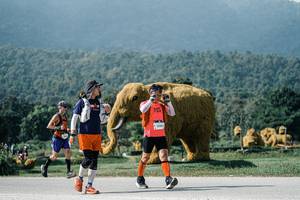 BIB: 
                            <button type="button" onclick="openModal(25915437)" class="btn btn-primary btn-sm float-right btn-popup" data-toggle="modal" data-target=".modal-high-quality">
                        <i class="fas fa-shopping-cart"></i> Add to Cart
                    </button>
                                            <button type="button" onclick="isThisMe(25915437, true)" class="btn btn-success btn-sm float-right btn-popup btn-isme hidden" data-toggle="tooltip" data-placement="bottom" title="นี่คือรูปของคุณใช่ไหม คลิกที่นี่เพื่อเอาเข้าอัลบั้ม">
                        <i class="fas fa-plus"></i> Add to album
                    </button>
                    <button type="button" onclick="isThisMe(25915437, false)" class="btn btn-warning btn-sm float-right btn-popup btn-isnotme hidden">
                        <i class="fas fa-ban"></i> Remove from album
                    </button>