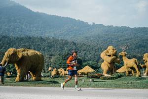 BIB: 
                            <button type="button" onclick="openModal(25874021)" class="btn btn-primary btn-sm float-right btn-popup" data-toggle="modal" data-target=".modal-high-quality">
                        <i class="fas fa-shopping-cart"></i> Add to Cart
                    </button>
                                            <button type="button" onclick="isThisMe(25874021, true)" class="btn btn-success btn-sm float-right btn-popup btn-isme hidden" data-toggle="tooltip" data-placement="bottom" title="นี่คือรูปของคุณใช่ไหม คลิกที่นี่เพื่อเอาเข้าอัลบั้ม">
                        <i class="fas fa-plus"></i> Add to album
                    </button>
                    <button type="button" onclick="isThisMe(25874021, false)" class="btn btn-warning btn-sm float-right btn-popup btn-isnotme hidden">
                        <i class="fas fa-ban"></i> Remove from album
                    </button>