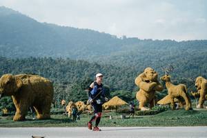 BIB: 
                            <button type="button" onclick="openModal(25892762)" class="btn btn-primary btn-sm float-right btn-popup" data-toggle="modal" data-target=".modal-high-quality">
                        <i class="fas fa-shopping-cart"></i> Add to Cart
                    </button>
                                            <button type="button" onclick="isThisMe(25892762, true)" class="btn btn-success btn-sm float-right btn-popup btn-isme hidden" data-toggle="tooltip" data-placement="bottom" title="นี่คือรูปของคุณใช่ไหม คลิกที่นี่เพื่อเอาเข้าอัลบั้ม">
                        <i class="fas fa-plus"></i> Add to album
                    </button>
                    <button type="button" onclick="isThisMe(25892762, false)" class="btn btn-warning btn-sm float-right btn-popup btn-isnotme hidden">
                        <i class="fas fa-ban"></i> Remove from album
                    </button>